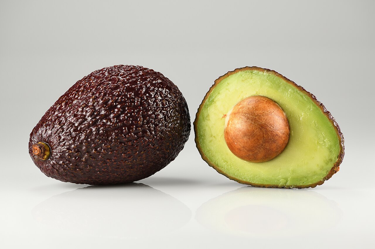 Avocado sago reseller