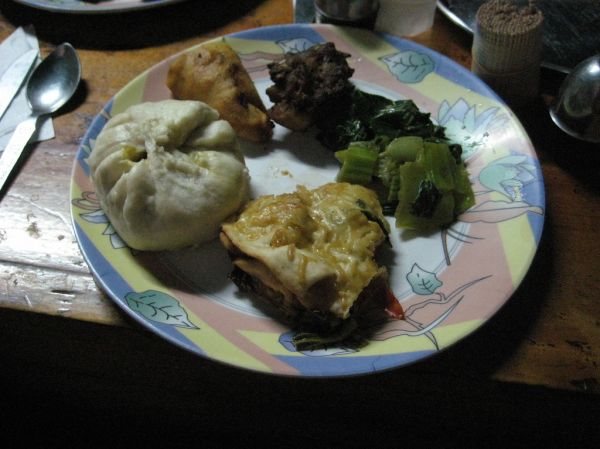 Dumpling lasagna