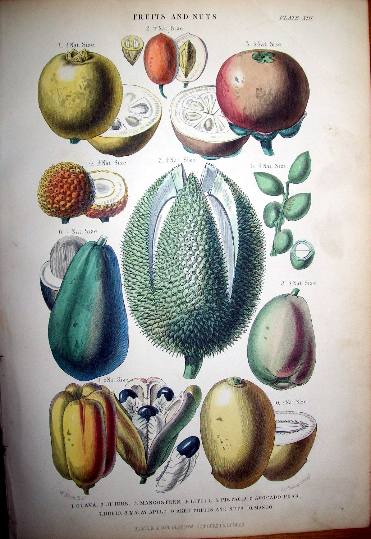 Durian Avocado Sago