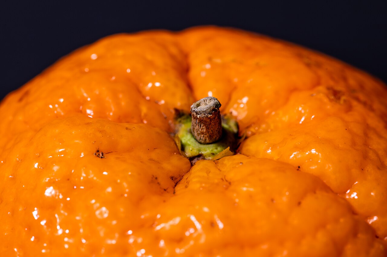 Orange leychee