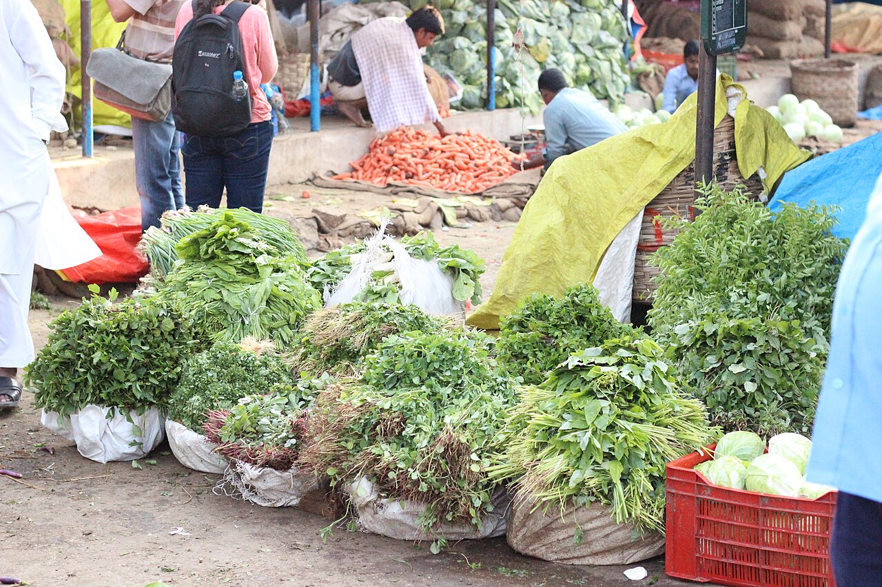 Salad sayur